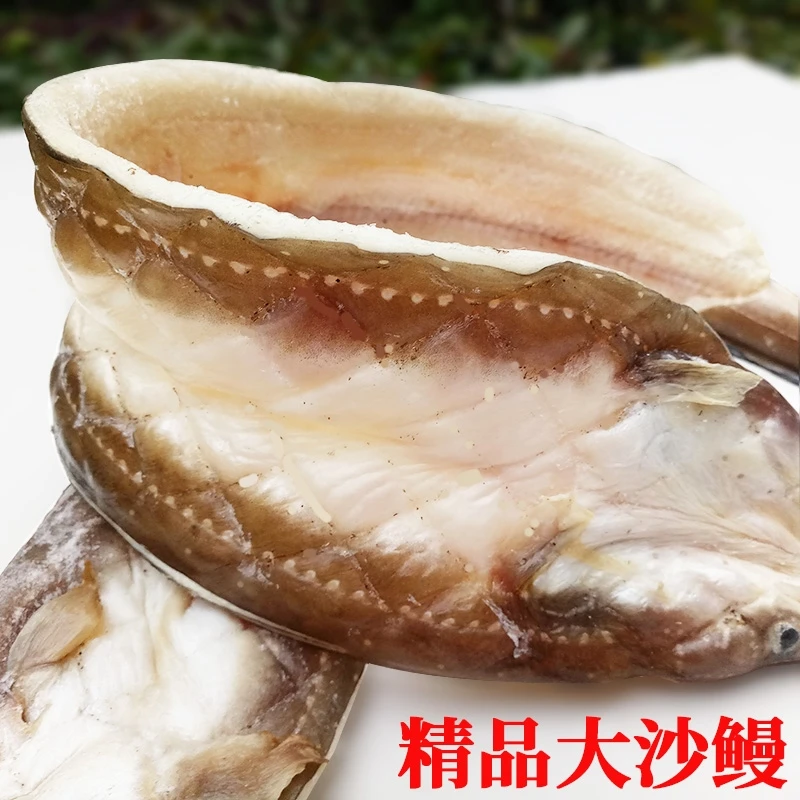 【哈姑姑】舟山优质野生自晒沙鳗鲞七星鳗1斤1-2条