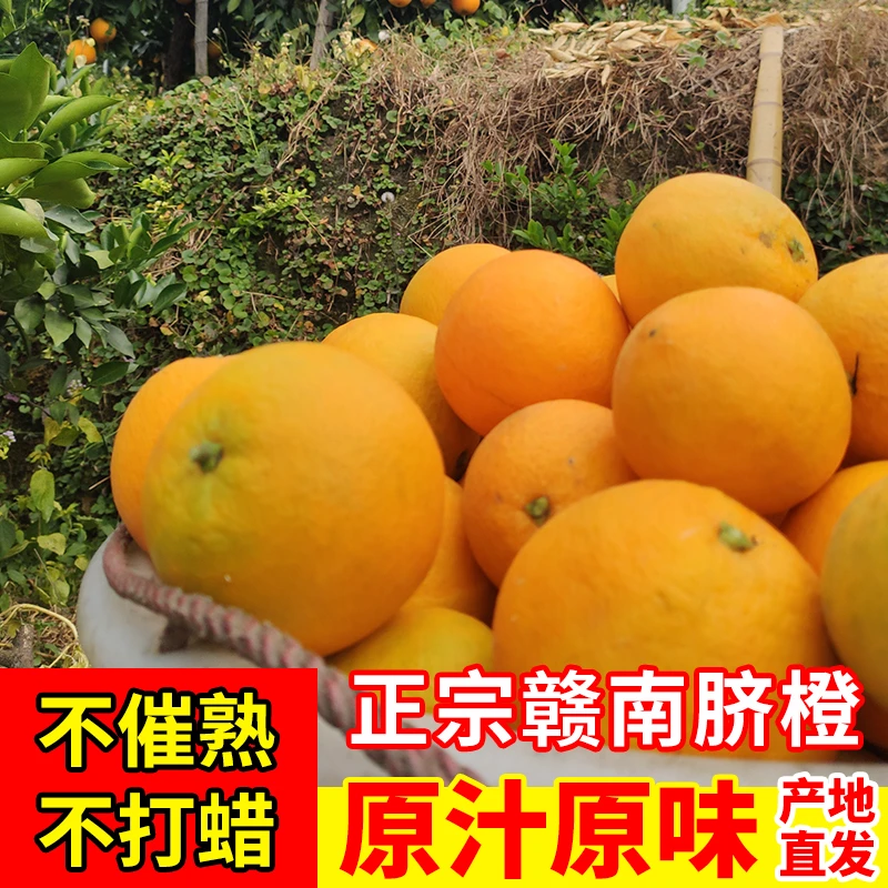 【阿飞小玉专属】赣南信丰安西脐橙不催熟不打蜡产地直发新鲜直供