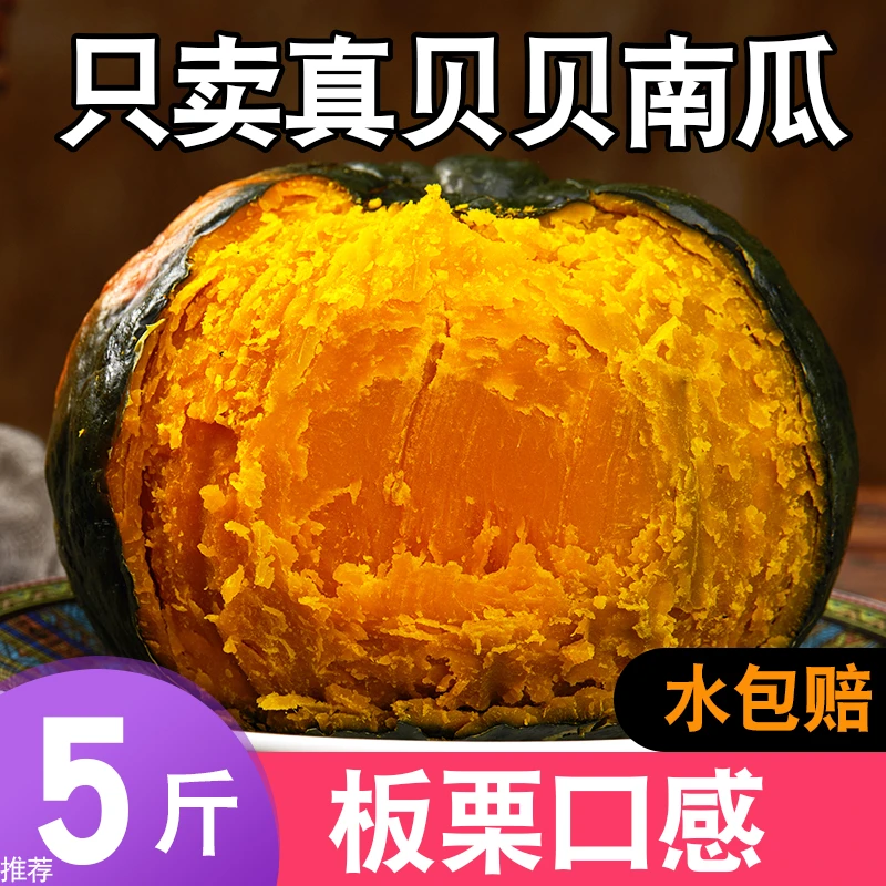 真贝贝南瓜5斤板栗味小南瓜山东栗面新鲜老严选宝宝辅食栗面正宗