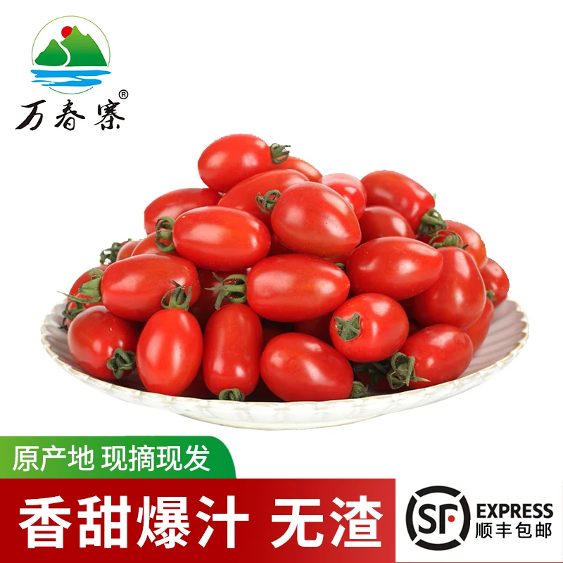 万春寨 新鲜现摘120颗/盒 台湾玉女爆汁樱桃小番茄千禧圣女西红柿