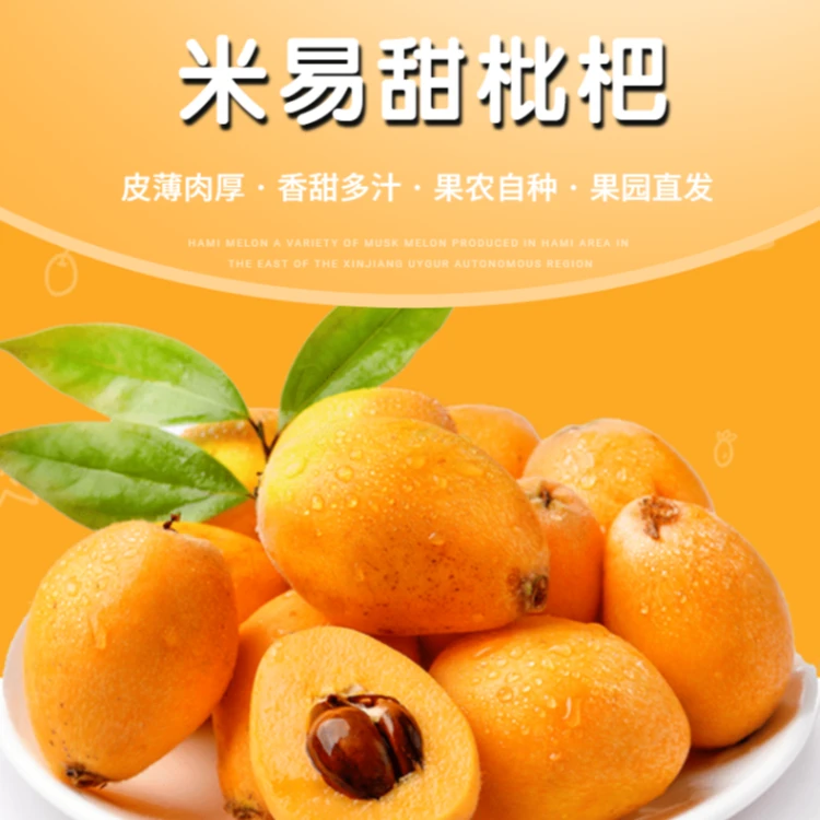 四川攀枝花米易新鲜枇杷精选5斤水果整箱包邮（含包装重5斤）