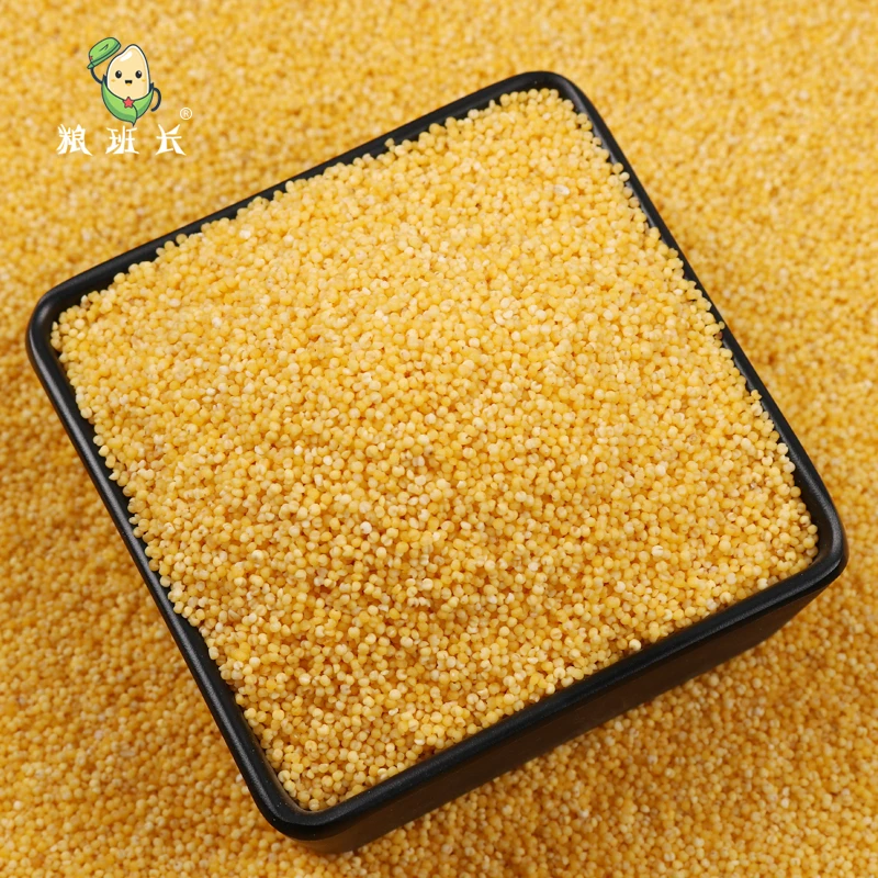 粮班长黄小米新米脂赤峰金苗糯小米粥内蒙敖汉醇厚优质营养