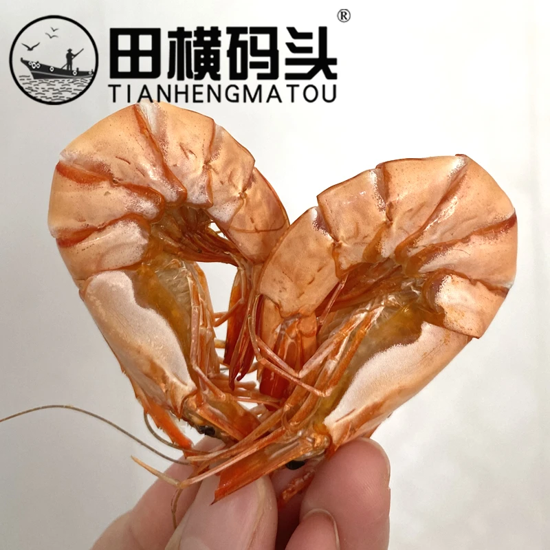[顺丰包邮]九节虾青岛田横码头斑节虾