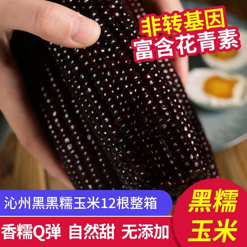 沁州黑玉米新鲜富硒黑糯熟玉米礼盒10根 早晚餐 单根大于220克