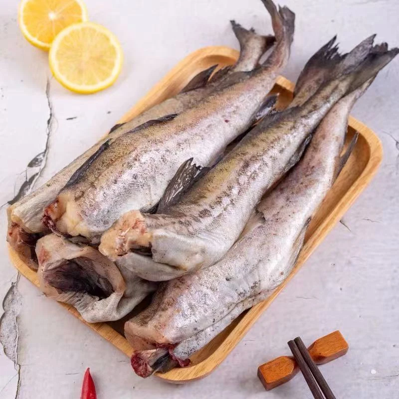 连云港新鲜大号鳕鱼 狭鳕鱼 明太鱼 去头去内脏 5斤/10斤包邮