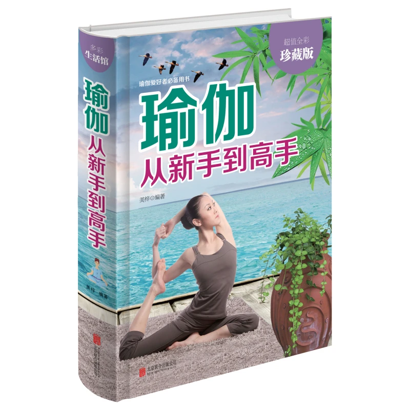 正版 瑜伽从新手到高手（全彩版） 初学到高难度书
