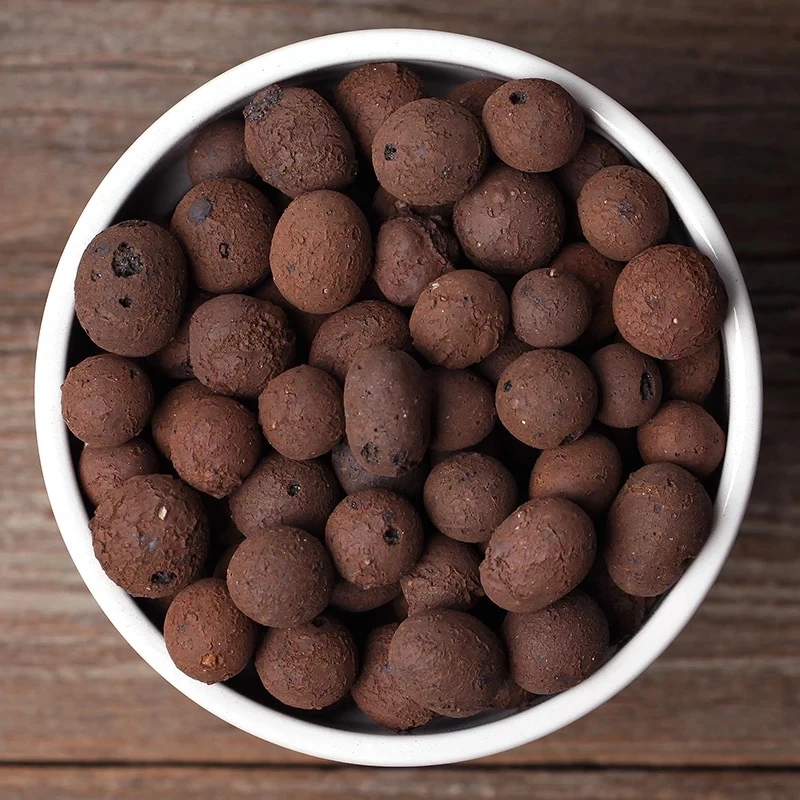 园艺陶粒养花专用植物透气垫底水培多肉花卉