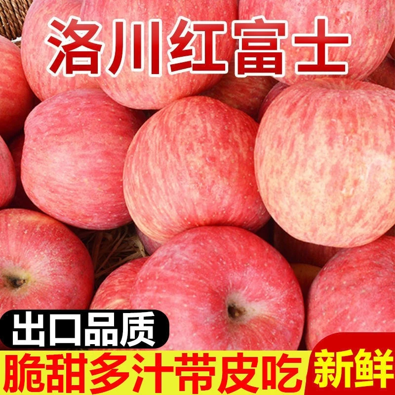 【太甜了】陕西洛川苹果5/10斤新鲜水果不打蜡原产地果园直发