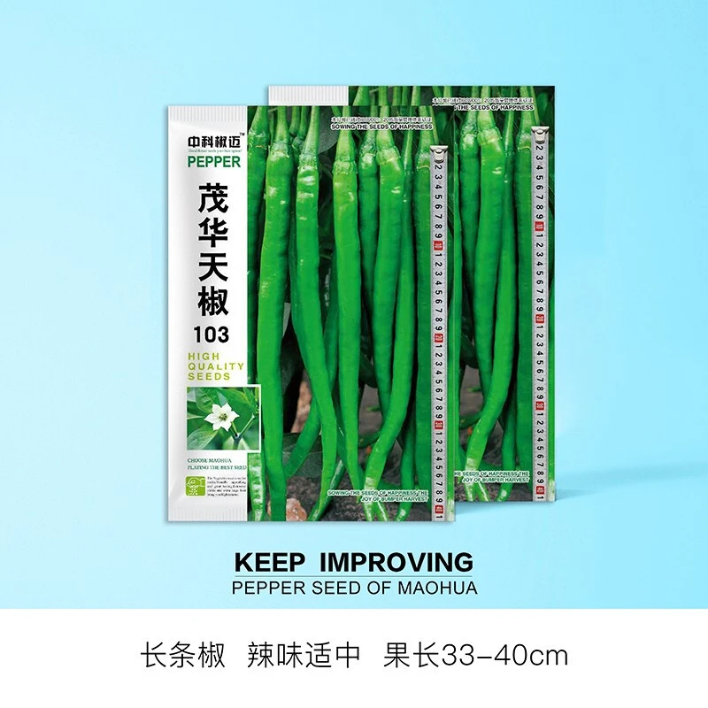中科茂华蔬菜种子中科椒迈天椒103辣椒种子长线椒种子条长40厘米