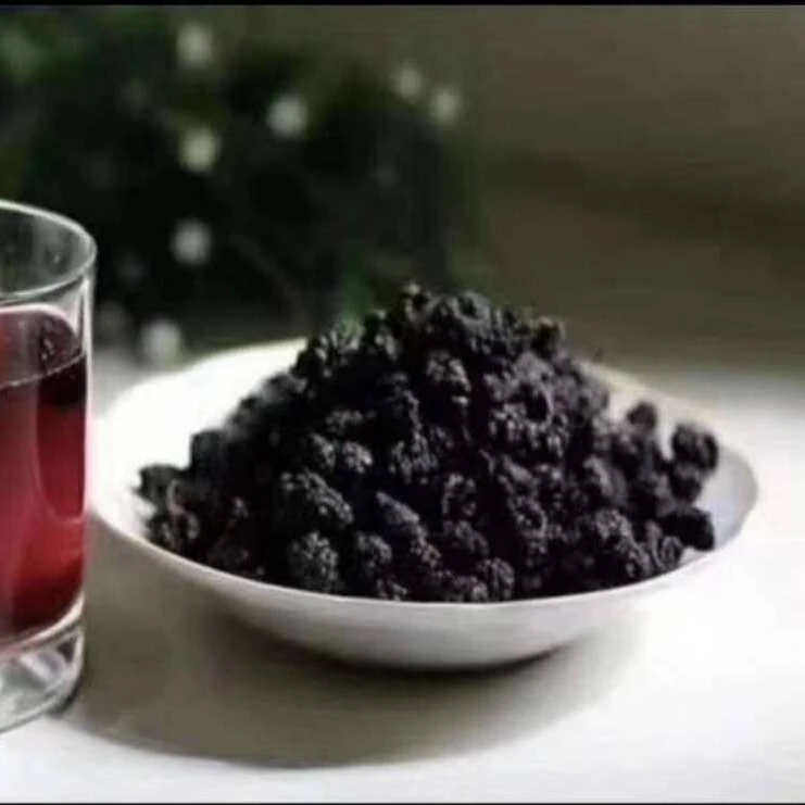 桑葚干 桑椹 新疆吐鲁番头茬桑椹干无沙桑椹干