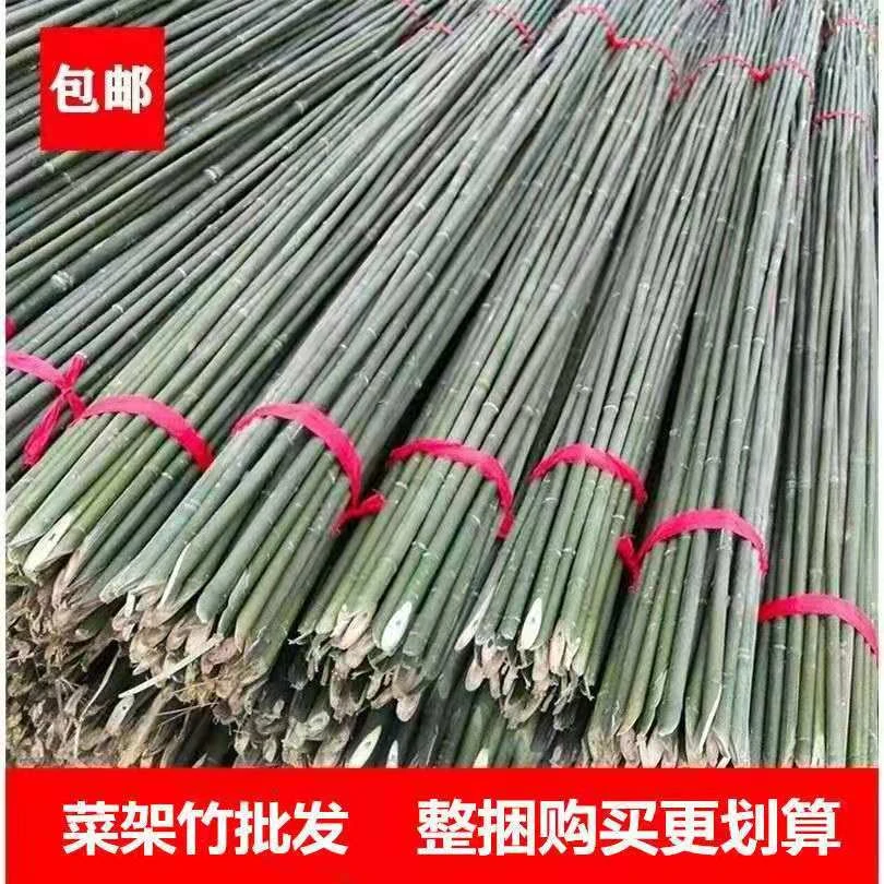 竹竿批发黄瓜豆角架子爬藤彩旗竹竿菜园搭架果树枝干跳舞防腐竹竿