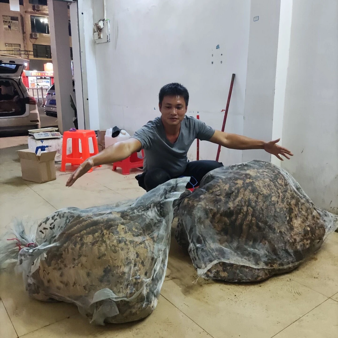 马蜂网袋304不锈钢，黑尾、金环专用网袋两个起包邮