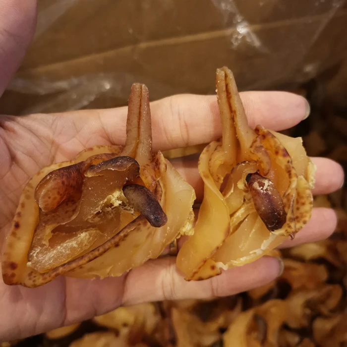 螺头 响螺嘴 煲汤料 广东   500克/250克