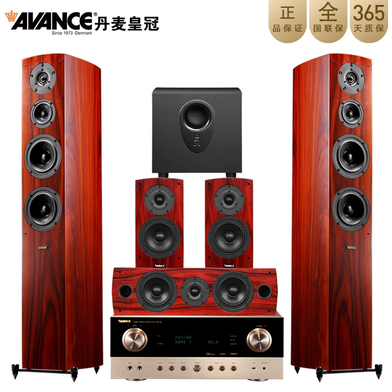 AVANCE Dana5达雅5发烧高保真 HIFI丹麦原装进口 家庭影院5.1套装