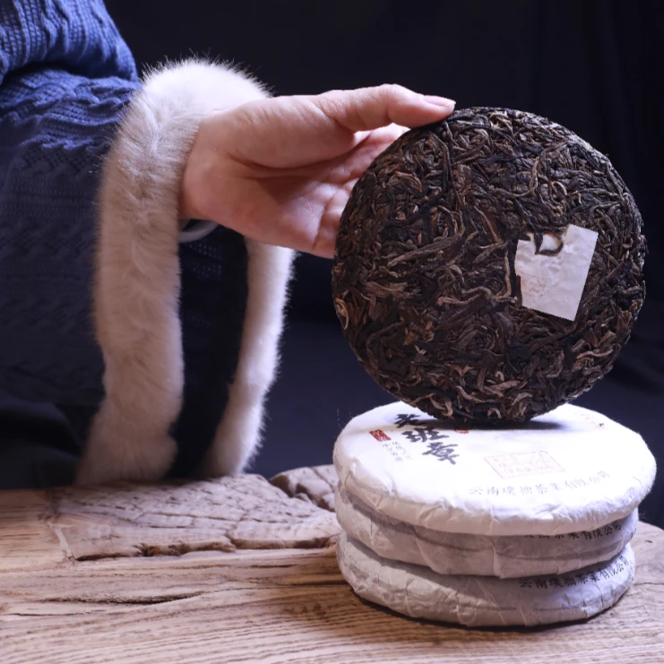 2016年景迈大平掌古树熟普