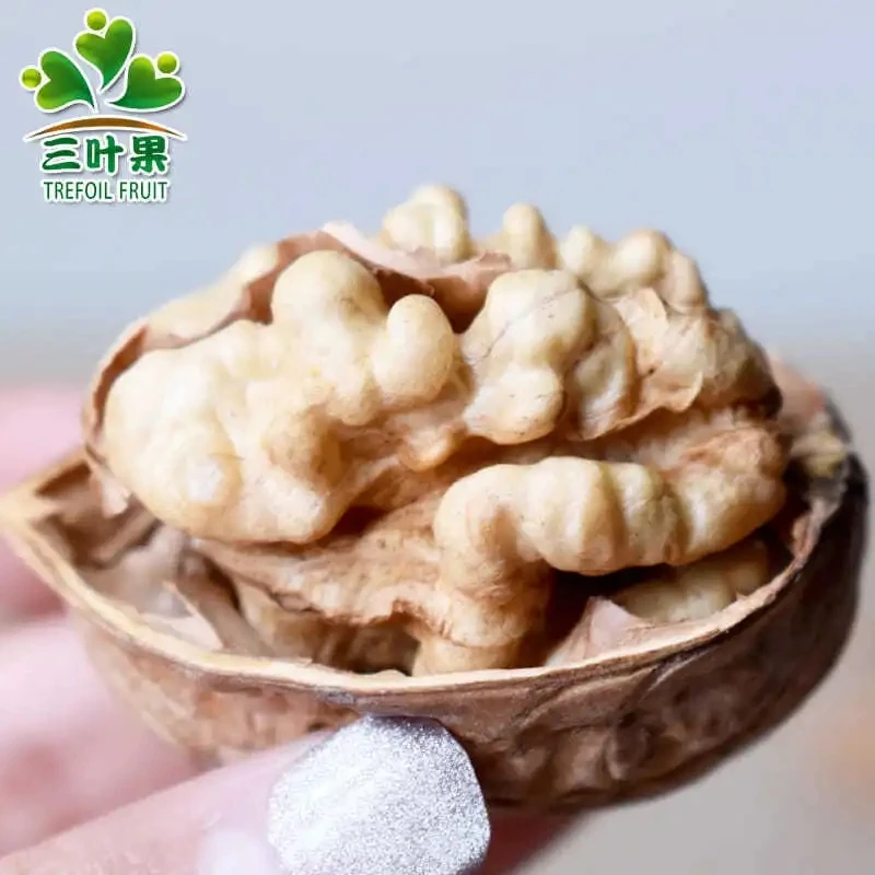 新疆阿克苏185纸皮核桃手剥即开皮薄500g