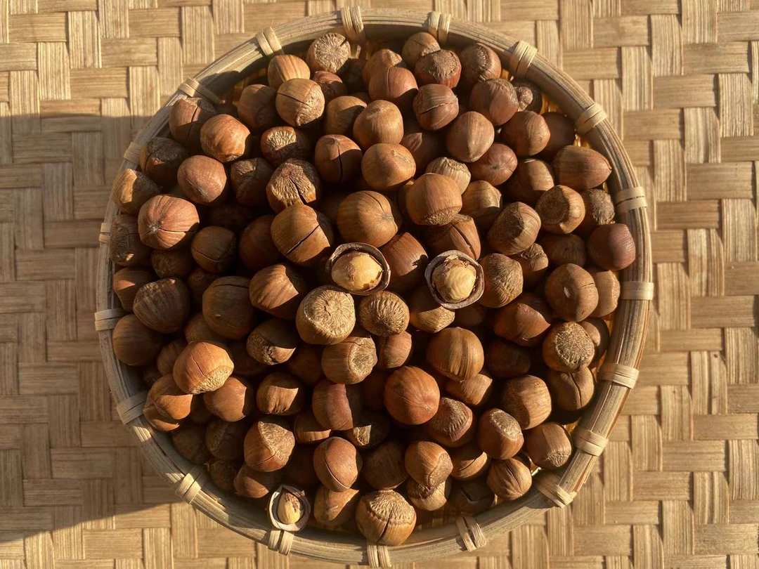 手拍山榛子(熟)3斤/5斤