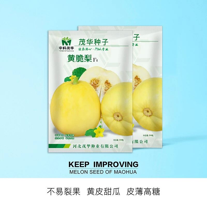 中科茂华蔬菜水果种子杂交黄脆梨黄皮白肉甜瓜种子星甜20类型薄皮
