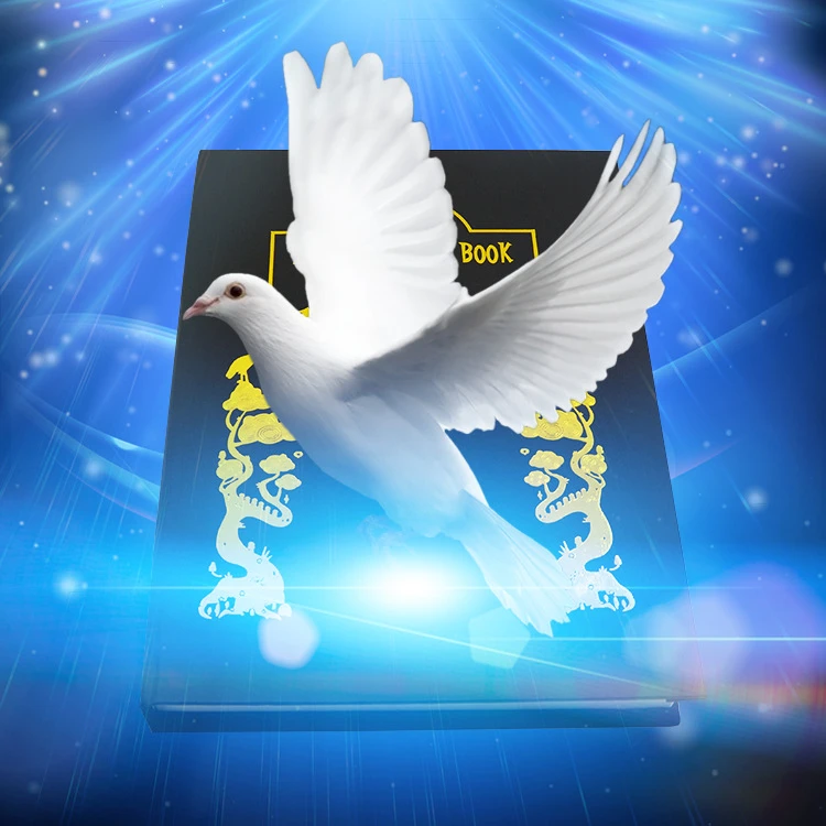 【书本出鸽子 书本出万物 魔术道具】
