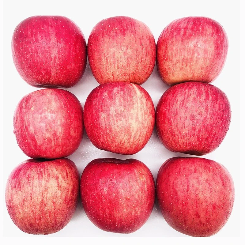 【原产地直发】正宗洛川苹果6/8斤装新鲜水果脆甜多汁果肉细腻