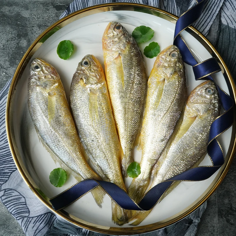 【莫小鱼现称拖网细麟小黄鱼】细鳞小黄鱼黄鱼东海野生海捕石浦海鲜