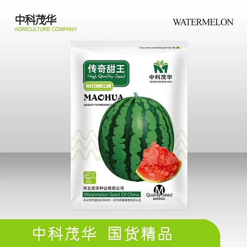 中科茂华西瓜盆栽种子组合冰糖早佳8424超甜京欣度冰西瓜盆栽种
