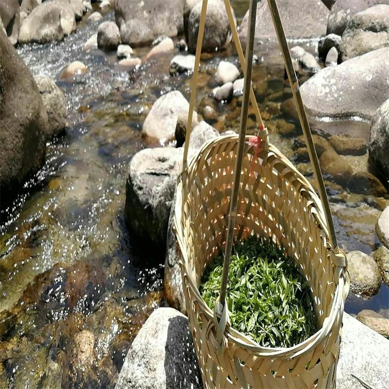6号改价链接大红袍肉桂茶叶武夷山盒装