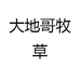 大地哥牧草
