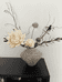 初晓FLOWER