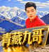 青藏九哥