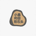 小鑫和田捡石头