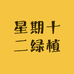 星期十二绿植