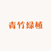 青竹绿植