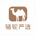 丝绸骆驼严选