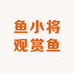 鱼小将观赏鱼