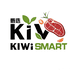 KIWiSMART甄选