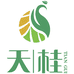 广西天桂茶叶
