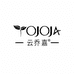 云乔嘉河南嘉澄生物科技有限公司女性护理专卖店