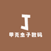 甲壳虫子数码