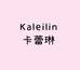 卡蕾琳kaleilin美妆
