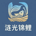 涟光锦鲤