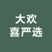 大喜儿精选店