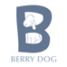 贝小洋BERRYDOG