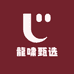 龍啸甄选