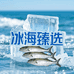 冰海臻选