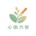 心田力安艺术小铺