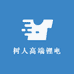 树人高端锂电