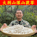 大别山茯苓
