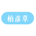柏彦草女性护理