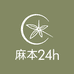 麻本24h